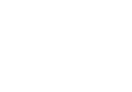 Ndi Logo - National Democratic Institute