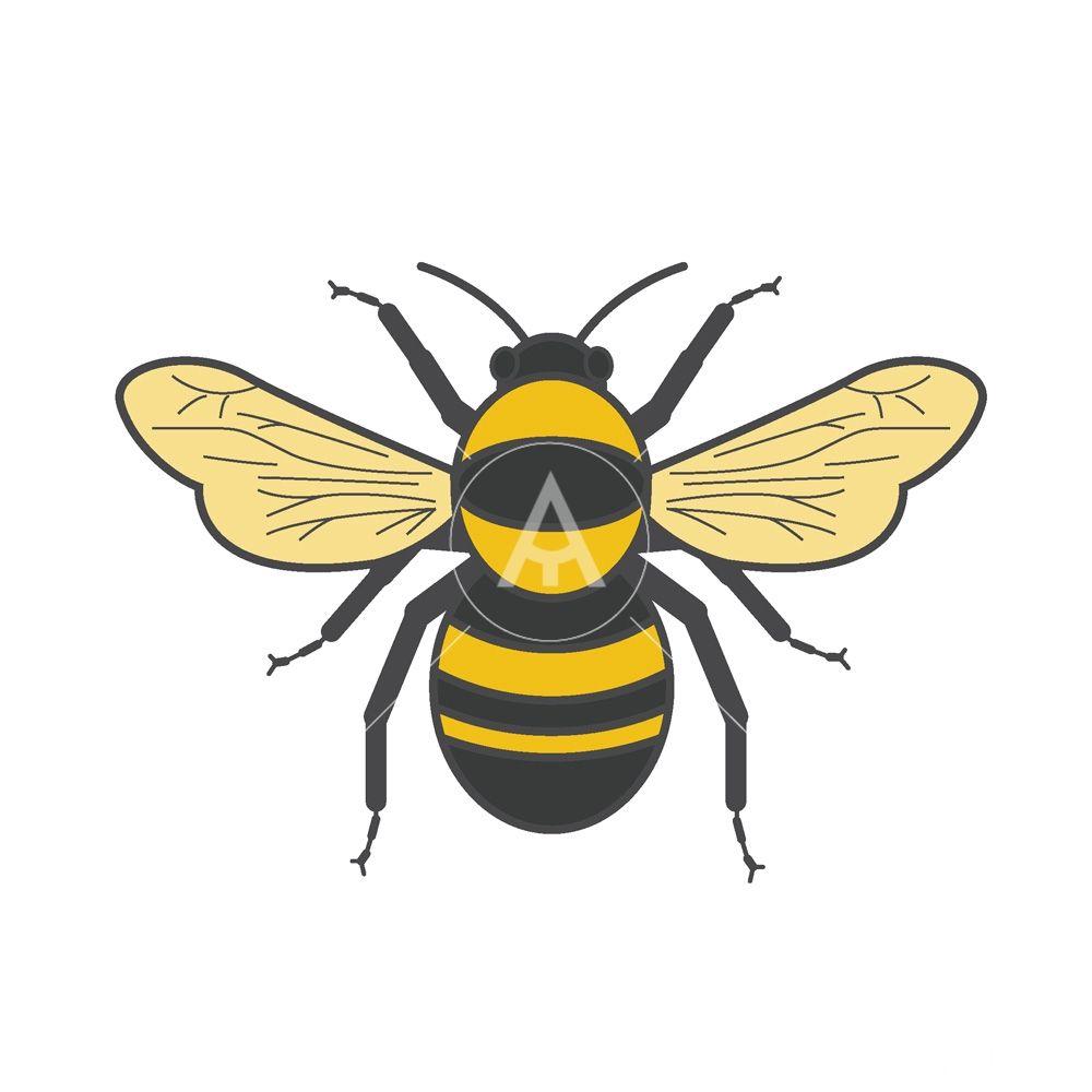 Bumblebee Logo - LogoDix
