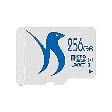 SDXC Logo - FATTYDOVE 256GB Micro SD Card UHS-3 Micro SDXC Memory Card Microsd Class 10  MLC with 10 Years Warranty for PC Dash Cam (256GB U3)