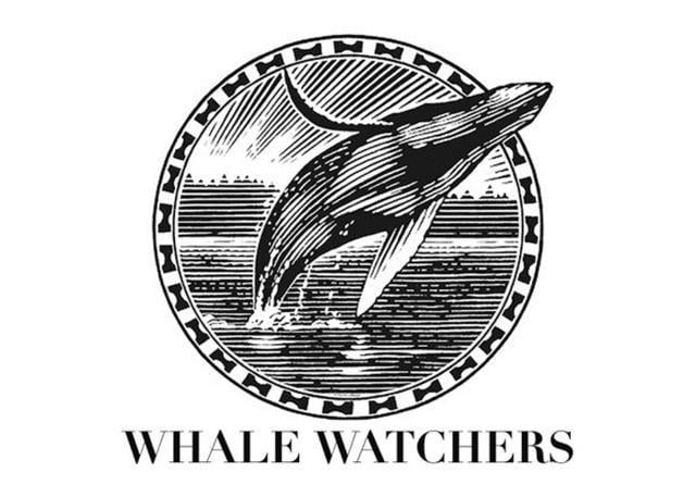 Humpback Logo - Steven Noble Illustrations: humpback whale