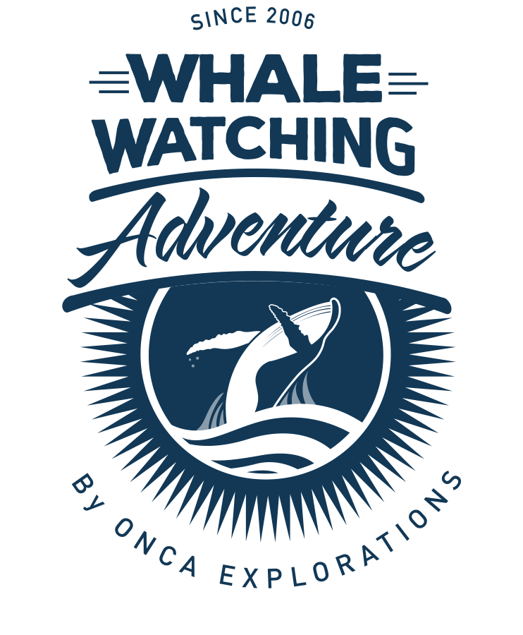 Humpback Logo - Whale Watching Mazatlan | Onca Explorations