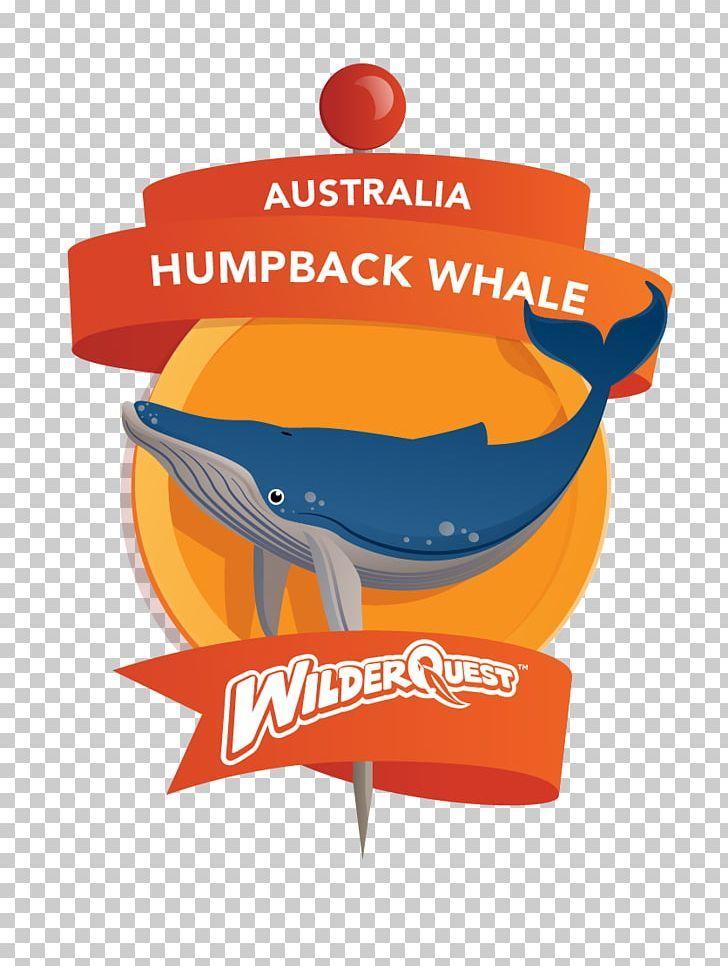 Humpback Logo - Logo Humpback Whale Cetacea PNG, Clipart, Brand, Cetacea, Fast Food