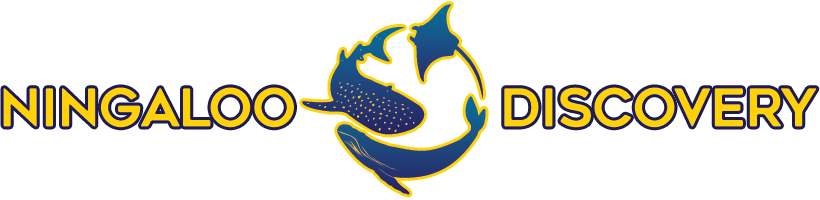 Humpback Logo - Humpback Whale Swim Tours - Ningaloo Discovery