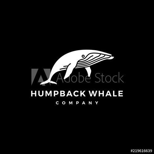 Humpback Logo - humpback whale logo icon vector illustration - Buy this stock vector ...