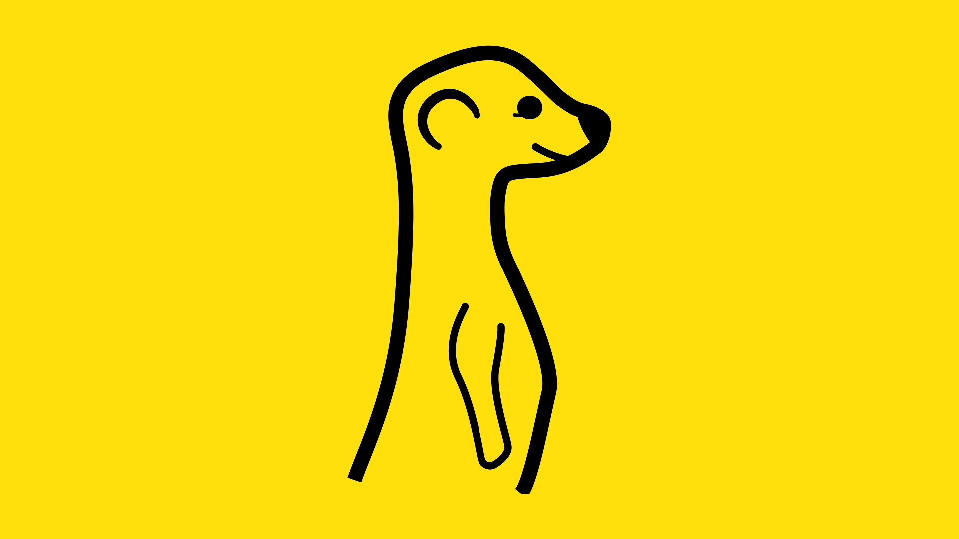 Meerkat Logo - What On Earth Is Meerkat? And Why Should Brands Care?