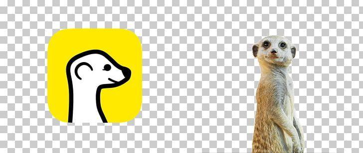Meerkat Logo - Compare The Meerkat Logo PNG, Clipart, Art, Carnivora, Carnivoran ...