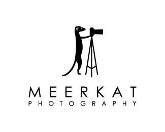 Meerkat Logo - Meerkat Photography Designed
