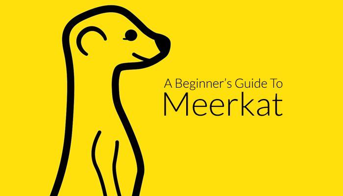 Meerkat Logo - A Beginner's Guide to Meerkat Live Streaming
