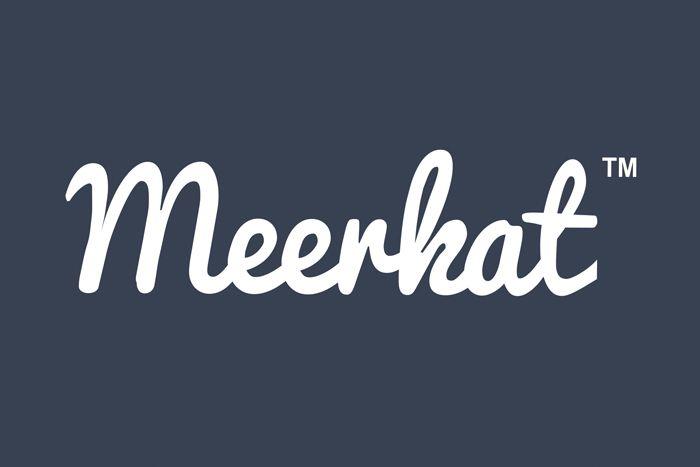 Meerkat Logo - MEERKAT LOGO WHITE ON GREY