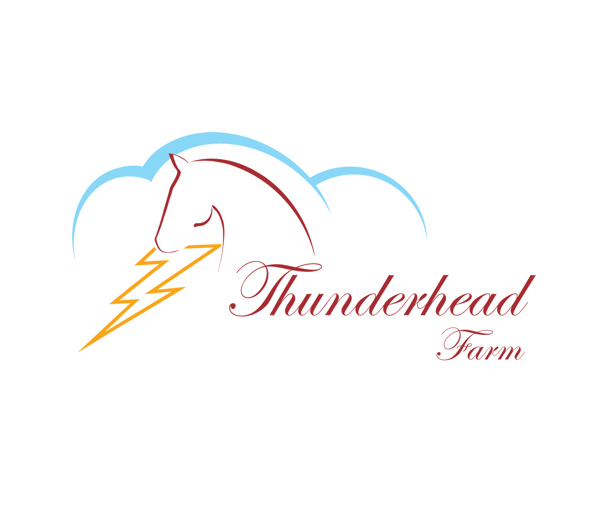 Thunderhead Logo - Elegant, Conservative, Farm Logo Design for Thunderhead Farm