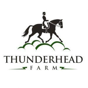 Thunderhead Logo - Thunderhead Farm