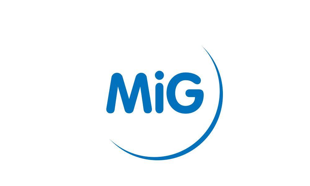 Mig Logo - What's in a Logo? | Made in Germany