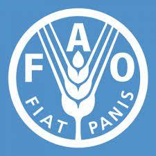 FAO Logo - FAO Logo - Ecosystem Marketplace