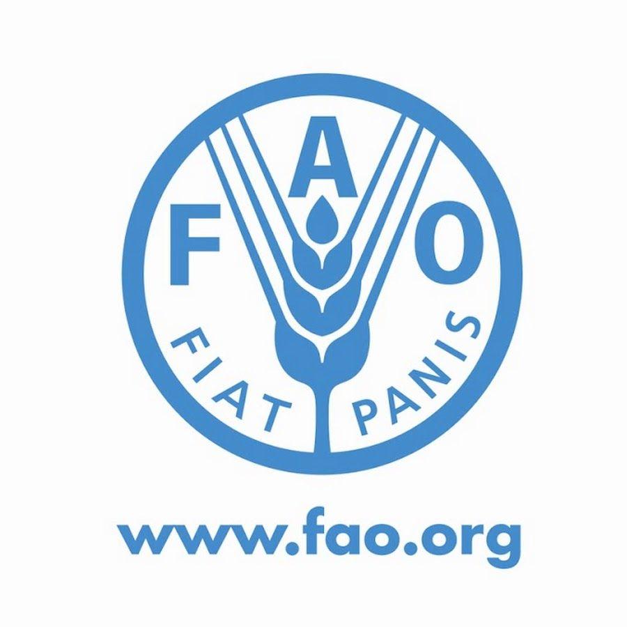 FAO Logo - FAOVideo