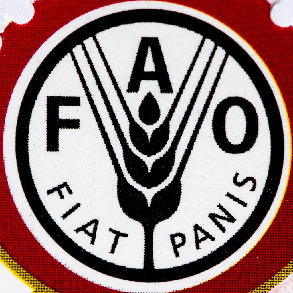 FAO Logo - FAO Logo