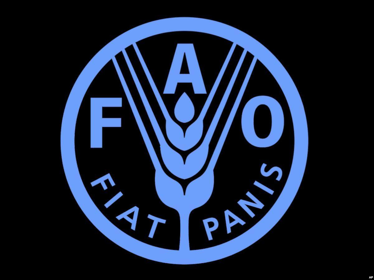 Сельскохозяйственная организация оон. Продовольственная и сельскохозяйственная организация ООН (ФАО). ФАО воз. ФАО эмблема. FAO логотип.