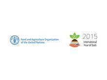 FAO Logo - Download the IYS 2015 logo | 2015 International Year of Soils