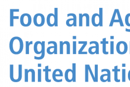 FAO Logo - United Nations