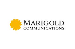 Marigold Logo - marigold-logo-design-thumb - Aviate Creative