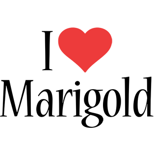 Marigold Logo - Marigold Logo. Name Logo Generator Love, Love Heart, Boots