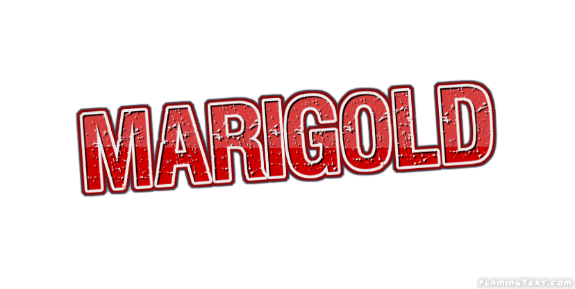 Marigold Logo - Marigold Logo. Free Name Design Tool from Flaming Text