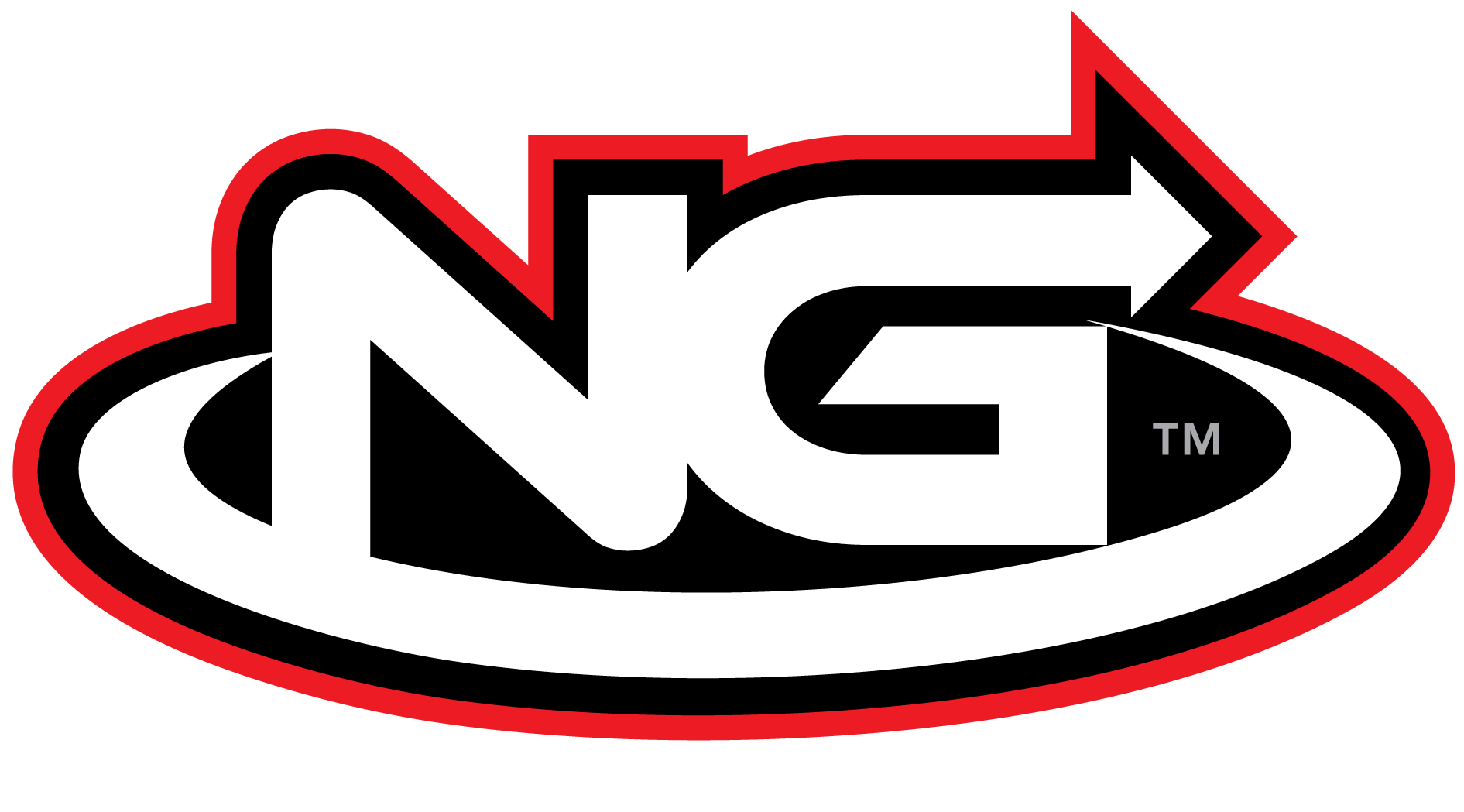 Ng Logo - Branding | Next Generation Disc Golf