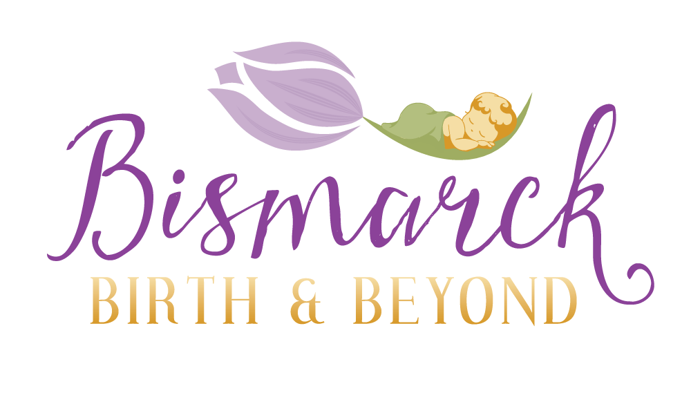 Birth Logo - Bismarck Birth & Beyond Logo Design - Bloom Birth Professionals