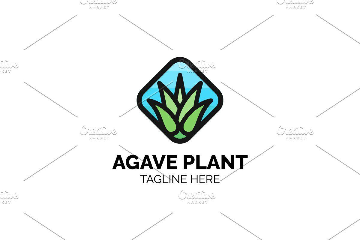 Agave Logo - Agave Plant Logo Design