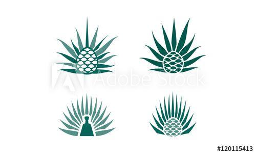 Agave Logo - agave plant logo this stock vector and explore similar vectors