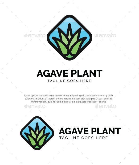 Agave Logo - Agave Plant Logo