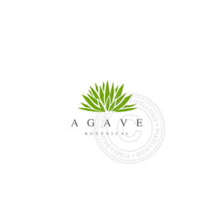 Agave Logo - Agave Plant