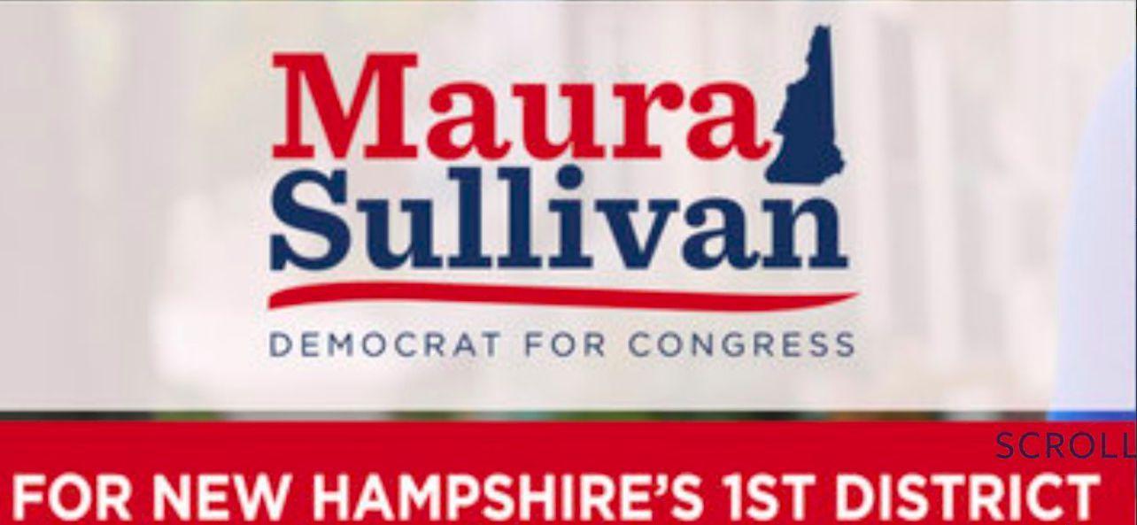 Maura Logo - N.H. congressional candidate announces bid with a logo that gets