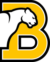 Birmingham Logo - Official Logos