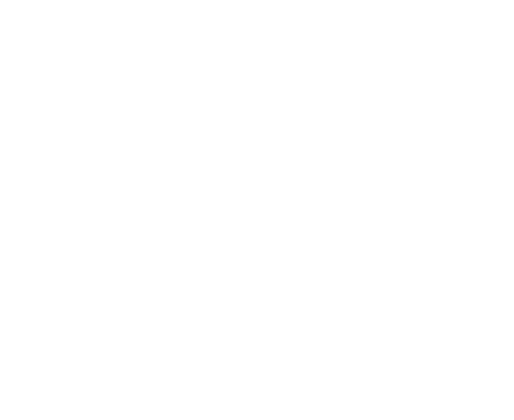 ICAO Logo - img