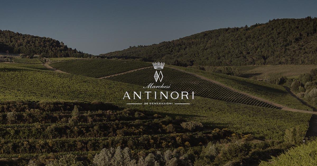 Antinori Logo - Futuro Antico | Marchesi Antinori