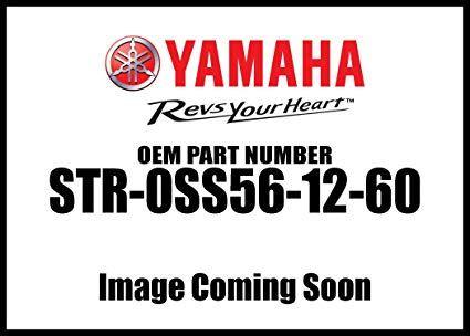 Stratoliner Logo - Amazon.com: Genuine Yamaha O.E.M. Star Motorcycles Roadliner ...