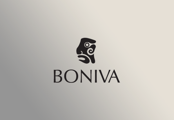 Boniva Logo - Boniva Chocolate on Behance