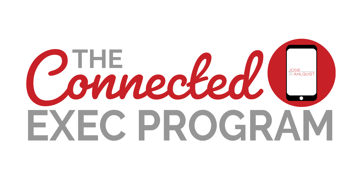 Exec Logo - The Connected Exec