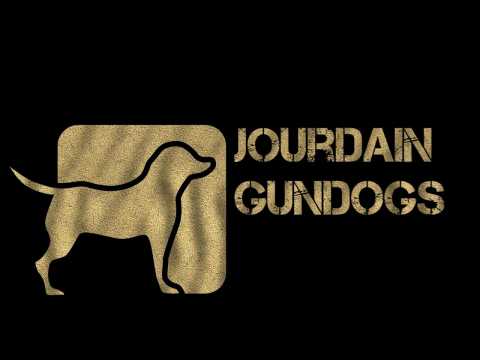 Ftch Logo - Field trial working gundog ( ftch champion lines) | Welwyn Garden ...