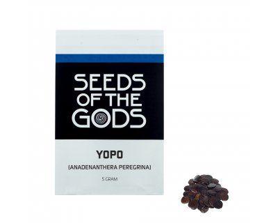 Yopo Logo - Yopo (Anadenanthera peregrina) seeds