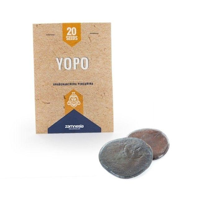 Yopo Logo - Yopo (Anadenanthera peregrina) 20 seeds