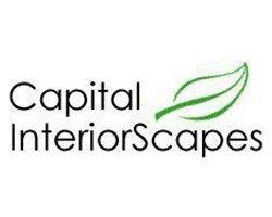 200 Logo - capital-interiorscapes-logo | SPAC