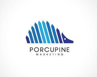 Porcupine Logo - Porcupine Marketing. BrandCrowd. Work. Marketing logo, Logos