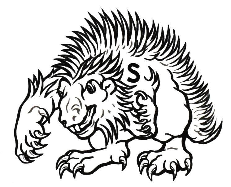 Porcupine Logo - Porcupine Logo
