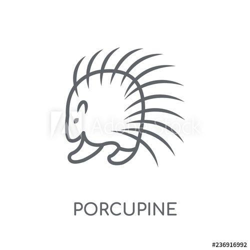 Porcupine Logo - porcupine linear icon. Modern outline porcupine logo concept on ...