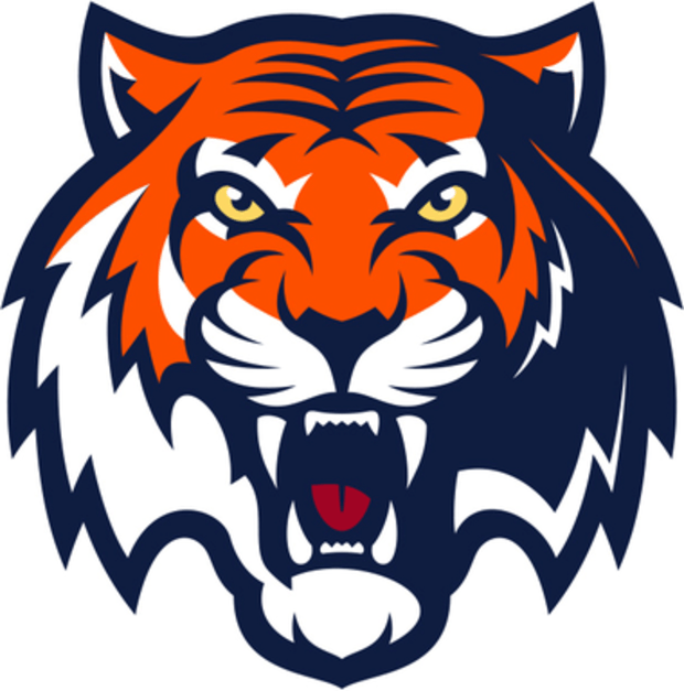 Taiger Logo - Tiger face Logos