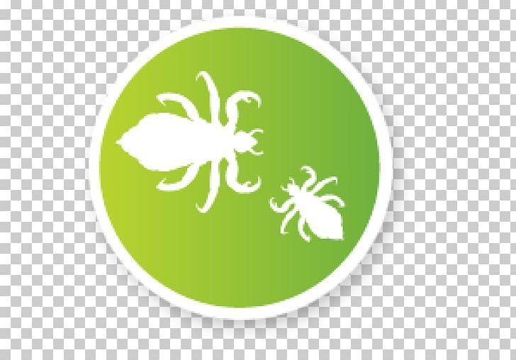Louse Logo - Head Louse Primate Body Lice Insect Logo PNG, Clipart, 10 Cm ...
