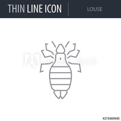 Louse Logo - Symbol of Louse. Thin line Icon of Insect. Stroke Pictogram Graphic