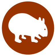 Wombat Logo - Wombat Mascots and Logos