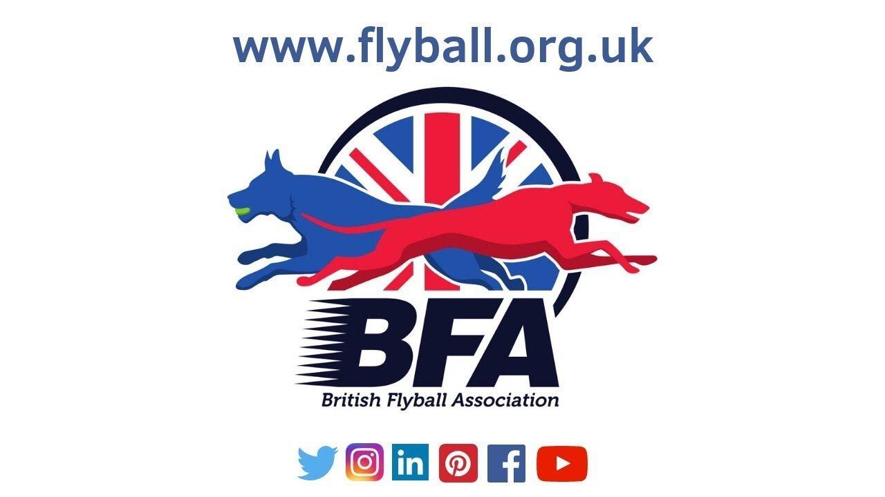 Flyball Logo - BFA Flyball